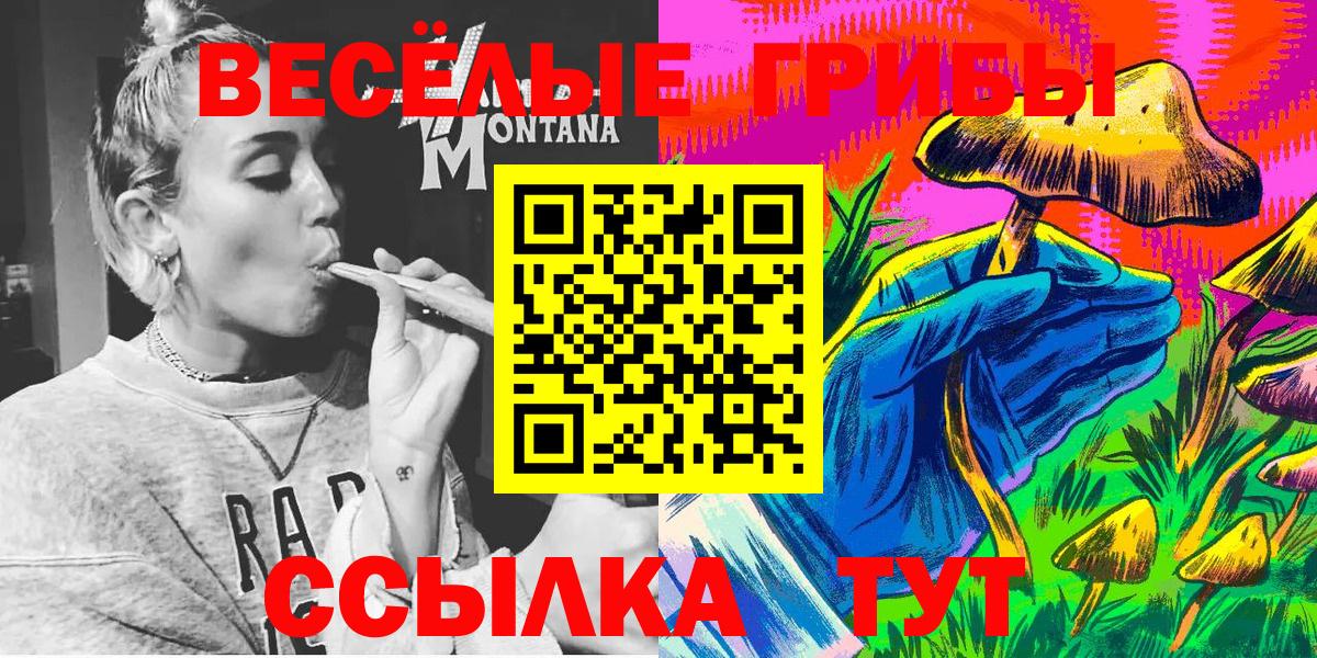 Галлюциногенные грибы ЛСД  Вход с VPN  Северск 